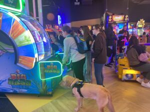 Three camp attendees stand in front of an arcade game playing. A Guide Dog stands next to them. More games are lit up in the background.