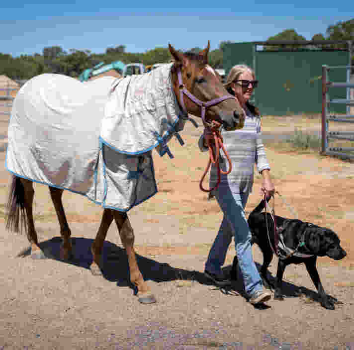 A woman leading her horse, both being guided by a black Guide Dog.