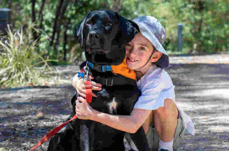 A young boy cuddling a black Therapy Dog.