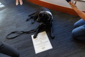 Molly swearing in
