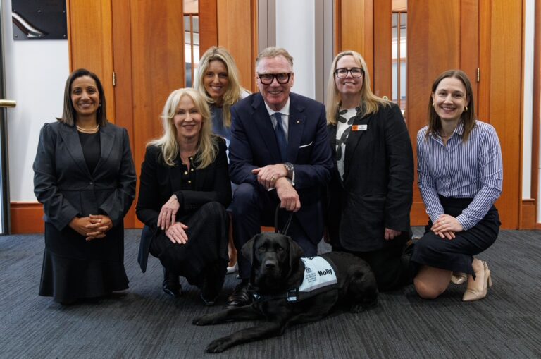 Molly, Lani and Sunny Sworn In: New Court Dogs Join the National Program in NSW