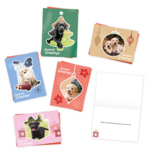 Collection of Christmas cards featuring festive designs and labrador puppies.