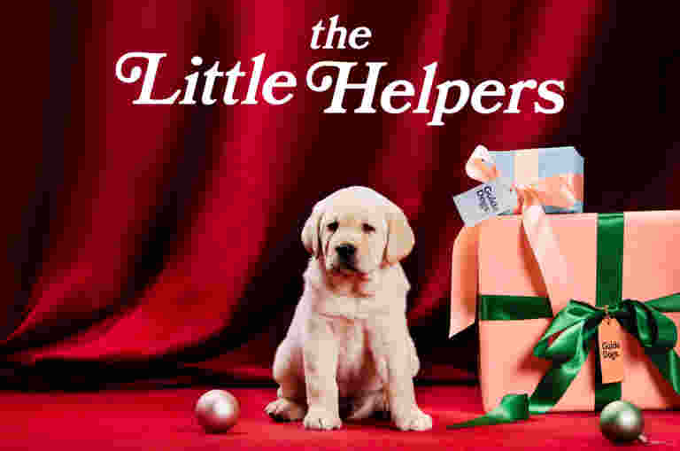 A puppy sits on a red velvet backdrop surrounded by festive decorations. To the right are large gift boxes wrapped in peach paper with green ribbons, one featuring a tag that reads “Guide Dogs.” A smaller gift box with a blue lid and peach ribbon rests on top, with a card that says “Guide Dogs.” Shiny ornaments in silver and pink are scattered on the floor. Above the puppy, white text reads “the Little Helpers.”
