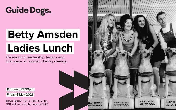 Promotional banner for Guide Dogs advertising the “Betty Amsden Ladies Lunch.” On the left, a pink panel features bold black and white text reading: “Guide Dogs. Betty Amsden Ladies Lunch,” followed by the line “Celebrating leadership, legacy and the power of women driving change.” Event details read: “11.30am to 3.00pm, Friday 8 May 2026. Royal South Yarra Tennis Club, 310 Williams Rd N, Toorak 3142.” On the right, a black-and-white photo shows four seated adults with four guide dogs sitting in front, each dog wearing a harness labeled “Help train a guide dog.”