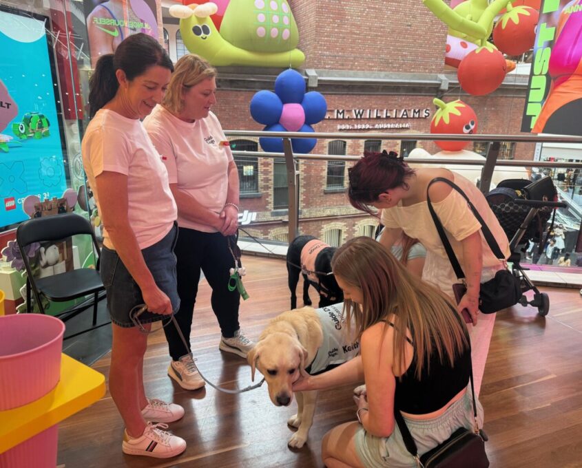 Katie and Cath standing with Ambassador Dogs Keith and Gizmo at the Lego Launch with a LEGO staff member.