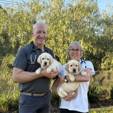 Changes to our Veterinarian Team: Thank you Dr Ann and Welcome Dr Andrew