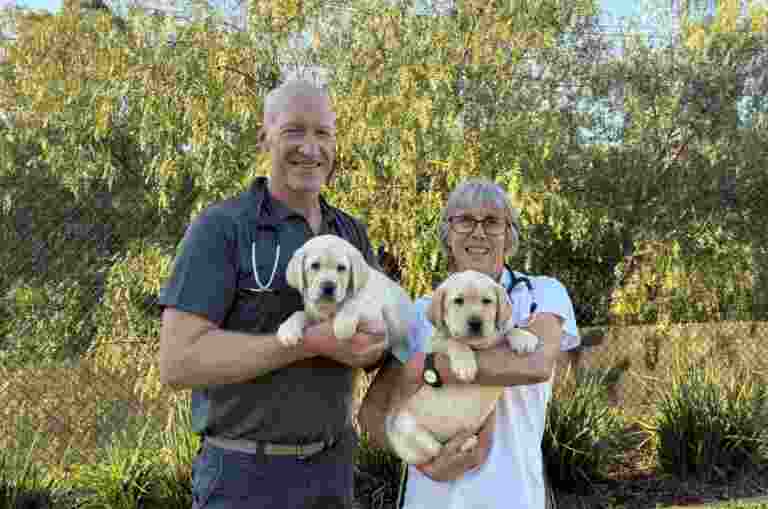 Andrew and Anne stand side by side, each holding a golden retriever puppy and smiling at the camera, with a background of green trees.