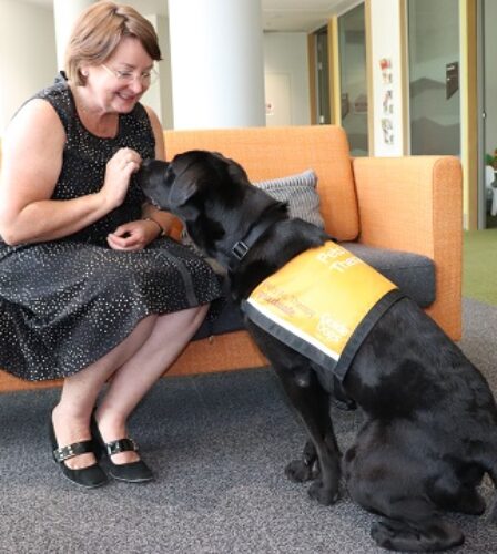 Canine Support Program Launches in ACT