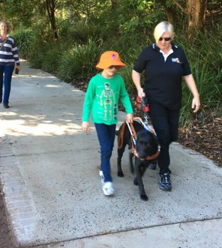Young people with low vision or blindness ‘test drive’ walking with a Guide Dog