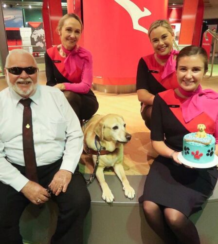 Guide Dog Brogan hangs up his harness after 451 domestic flights