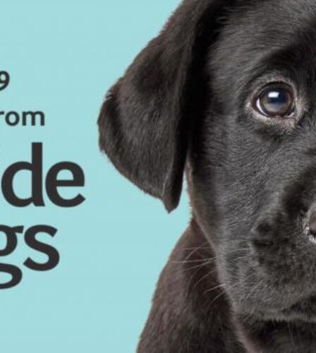 COVID-19: Business Continuity Update