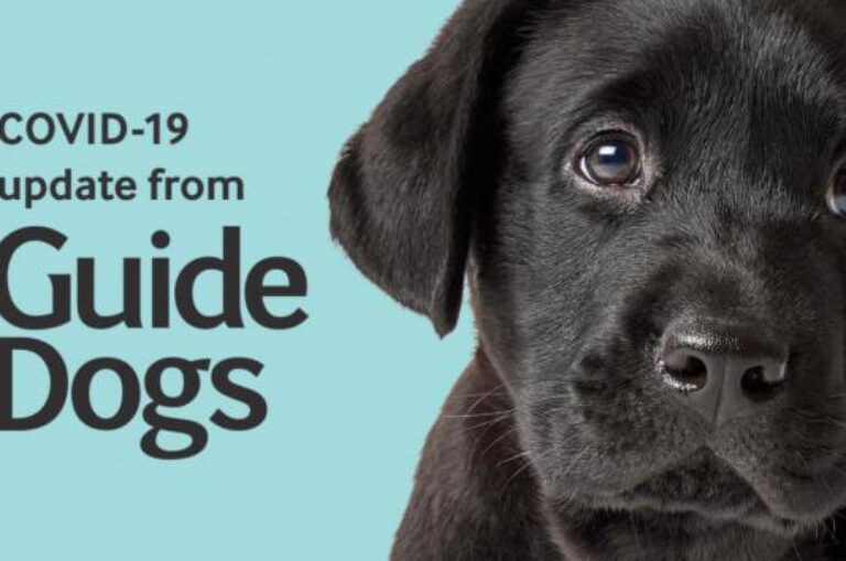 COVID-19: Business Continuity Update