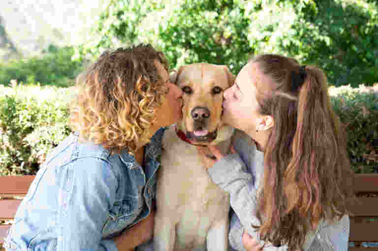 Two people kissing the cheeks of a yellow labrador dog. The dog is seated in between the two people and is looking at the camera.