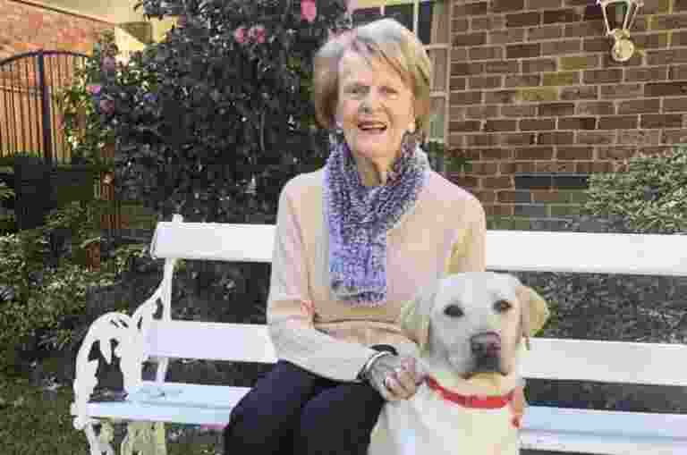 An elderly client sat on a park bench, with her yellow Guide Dog, sat by her legs.