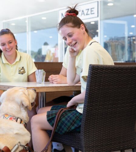 One in three Guide Dog Handlers put in danger when refused access or service because of their Guide Dog