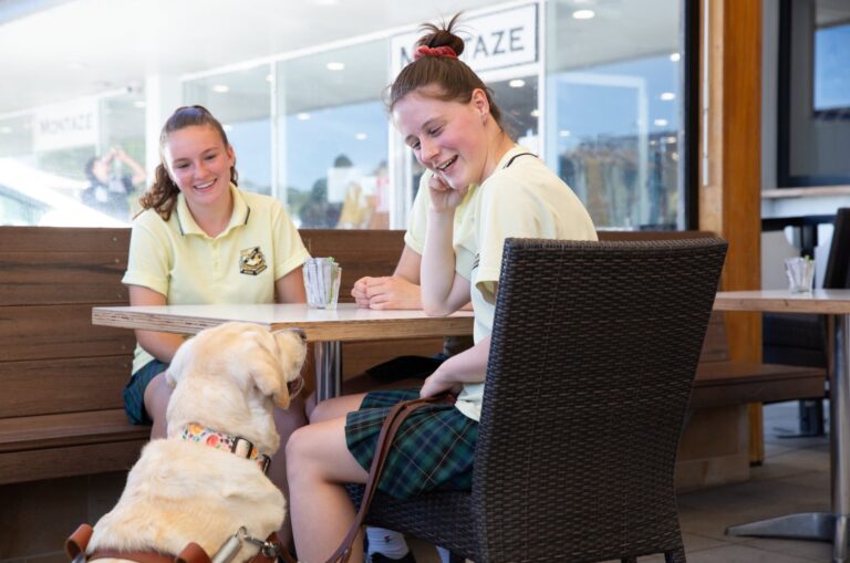 One in three Guide Dog Handlers put in danger when refused access or service because of their Guide Dog