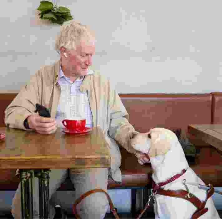 A person seated at a cafe table with a yellow labrador Guide Dog in harness seated next to their table. The person is reaching down touching the dogs face and the dog is looking up to the person.