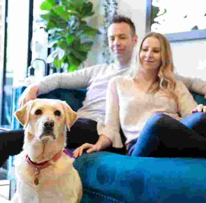 Two people seated on a couch with a yellow labrador dog seated on the floor in front of them. The people are looking at the dog and the dog is looking at the camera.