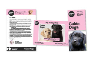 A letter and cards with images of Labradors on them