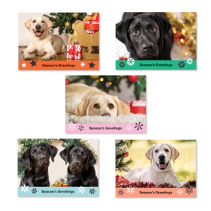 Guide Dogs branded Christmas cards.