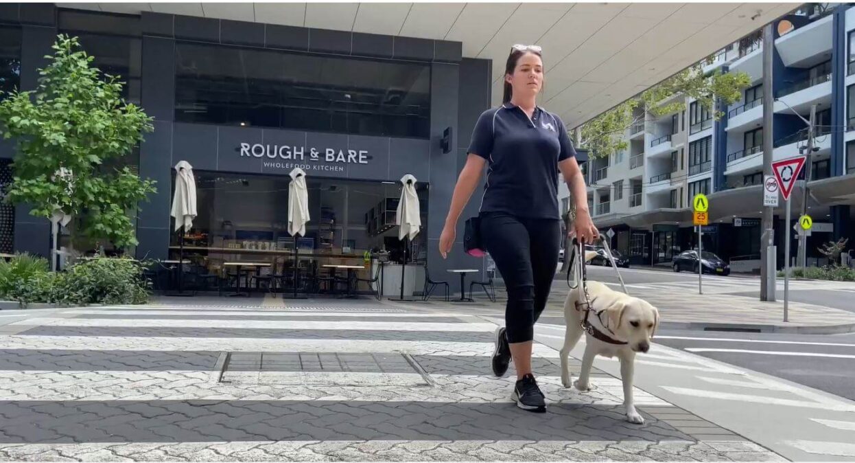 Guide Dog trainer crossing the road.