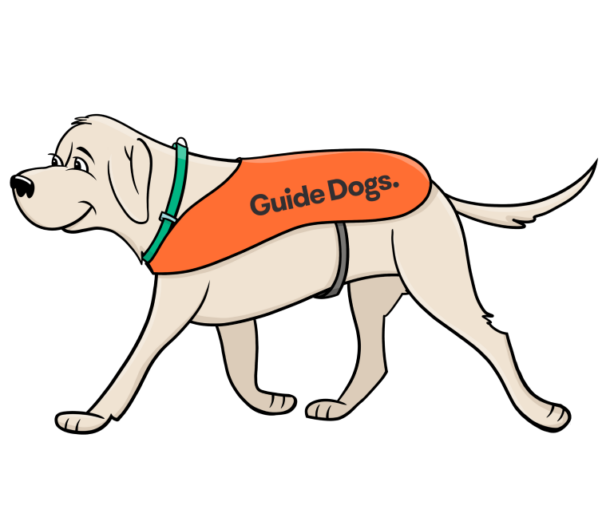 A guide dog wearing orange jacket.