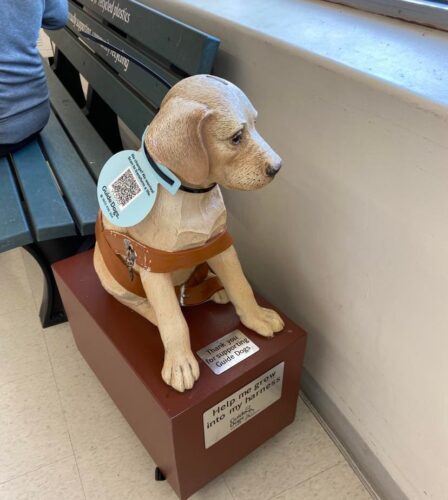 It just got easier to donate to our iconic Donation Dogs