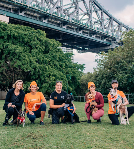 Fur-gotten friends: Aussie dogs acting up as owners return to office