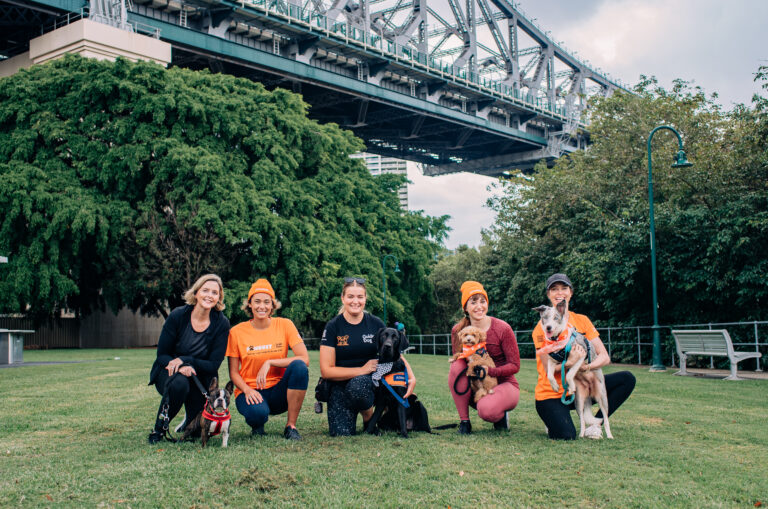 Fur-gotten friends: Aussie dogs acting up as owners return to office