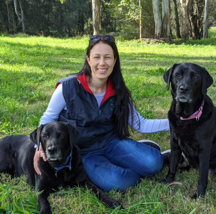 a Guide Dog Trainer Guide Dogs NSW/ACT