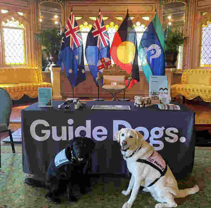 Ambassador Dogs Venus and Nancy at Government House