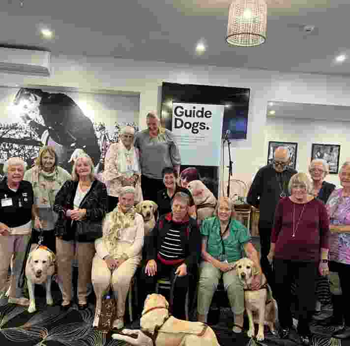 A group of people at an event. 3 yellow Labradors sit in front of them.