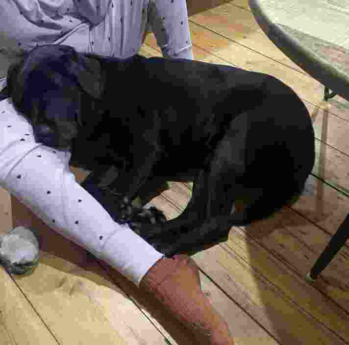 Jet curled up next to Erin on the floor