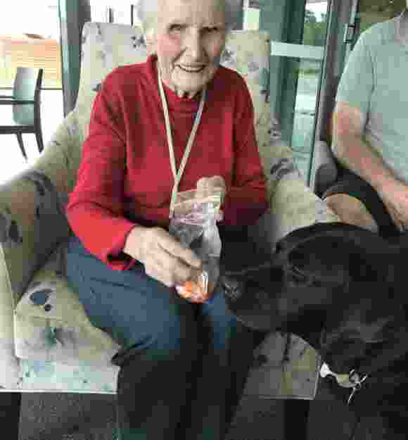 Joan getting ready to give Ambassador Dog Quota his quota of carrot treats!