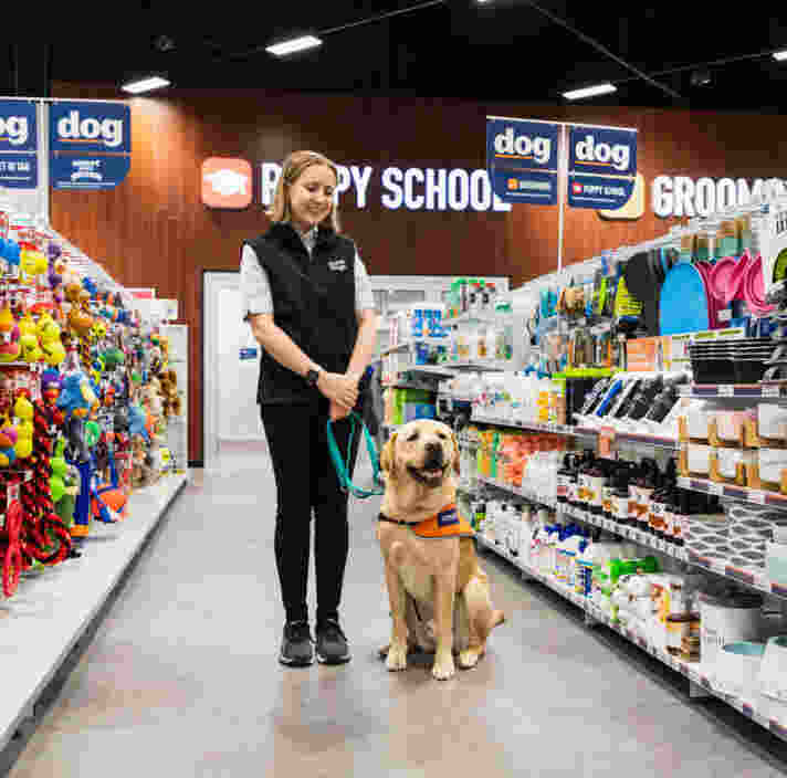 Therapy Dog Specialist Elisha with a yellow labrador in orange training jacket inside a PetStock store.