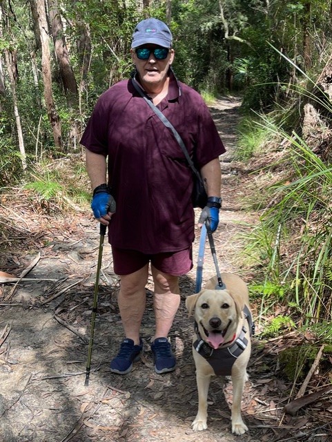 A man and his yellow Labrador Guide Dog in harness walking in the bush.