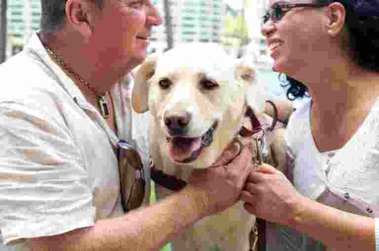 Paul and a Guide Dogs Client sit together and face each other with a yellow Labrador Guide Dog standing between them.