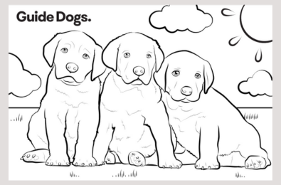 Colouring in sheet - medium.