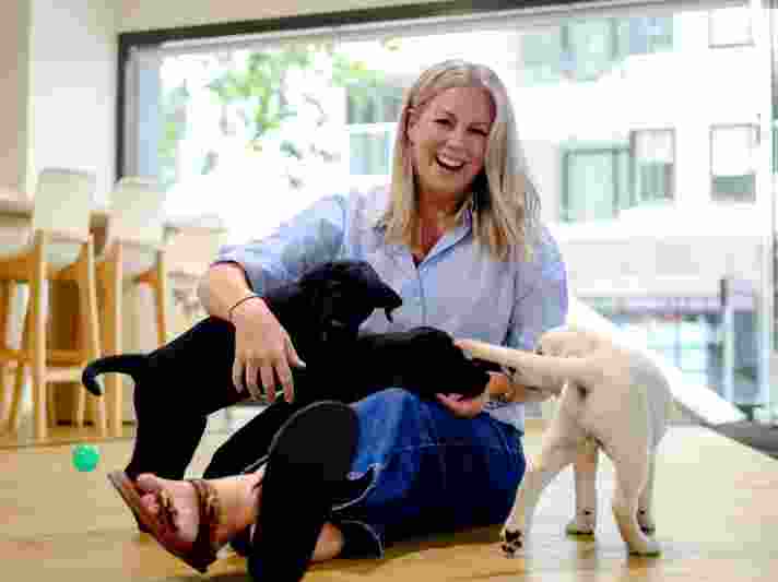 Samantha Armytage with black and yellow Labrador puppies.