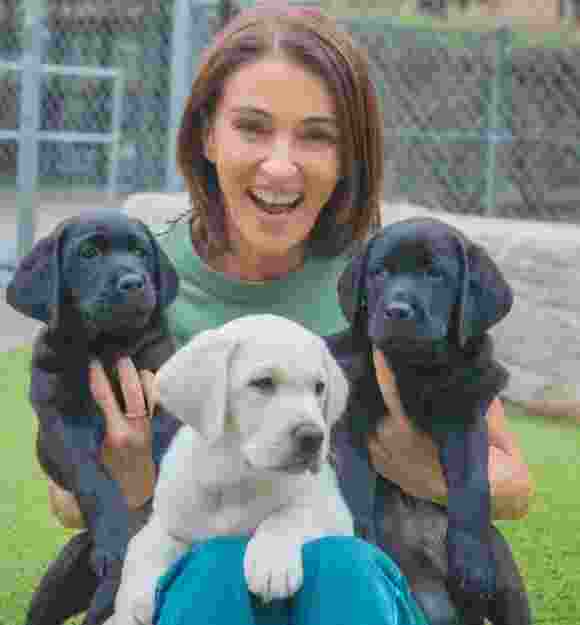 Dr Katrina Warren with black and yellow Labrador puppies.