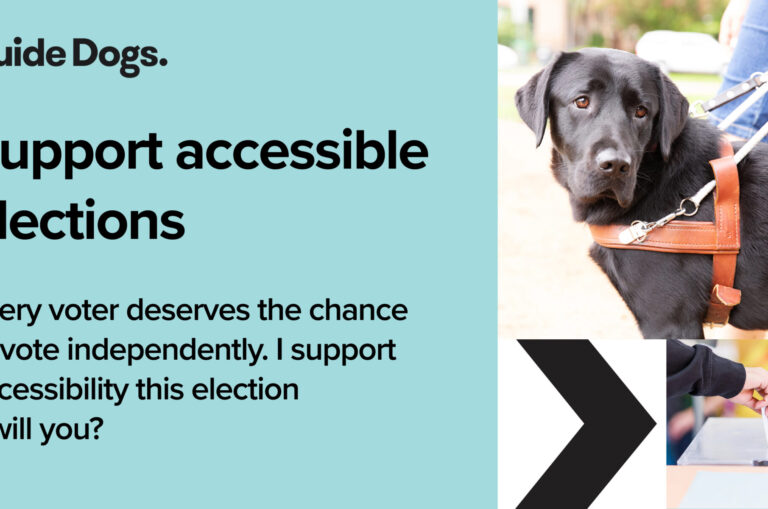 Download our banner.