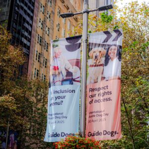 Access means Business banners in Martin Place.