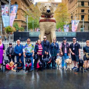 Guide Dog Handlers and their Guide Dogs in Martin Place.