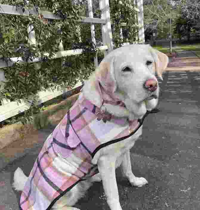 Nancy sitting in a pink coat.
