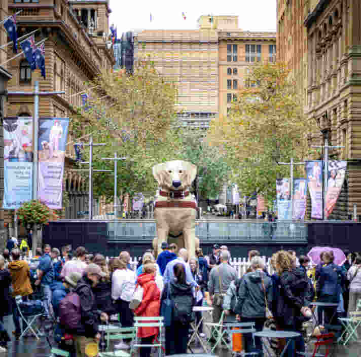 A crowd of people in front of 4.3 metre tall Guide Dog Gulliver in Martin Place.
