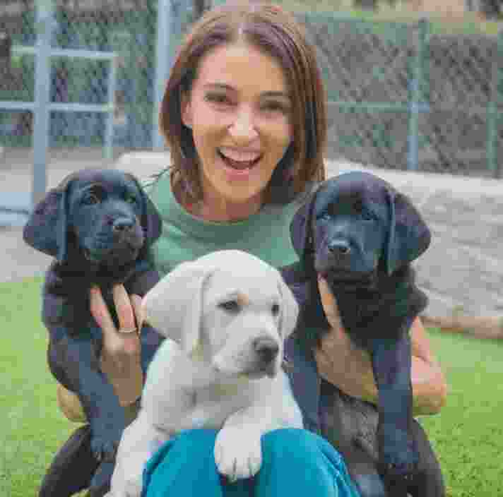 Dr Katrina holding Labrador puppies.