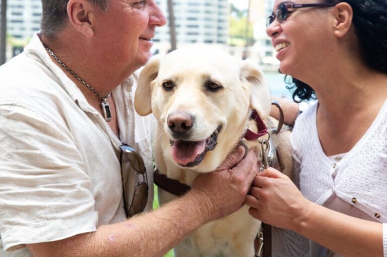 Paul sitting with another person and a yellow Labrador between them.