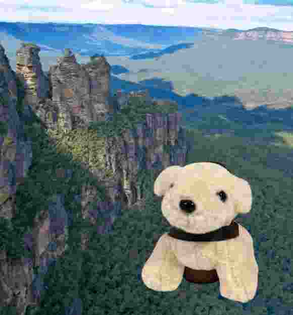 A yellow Labrador plush toy in front of the three sisters.