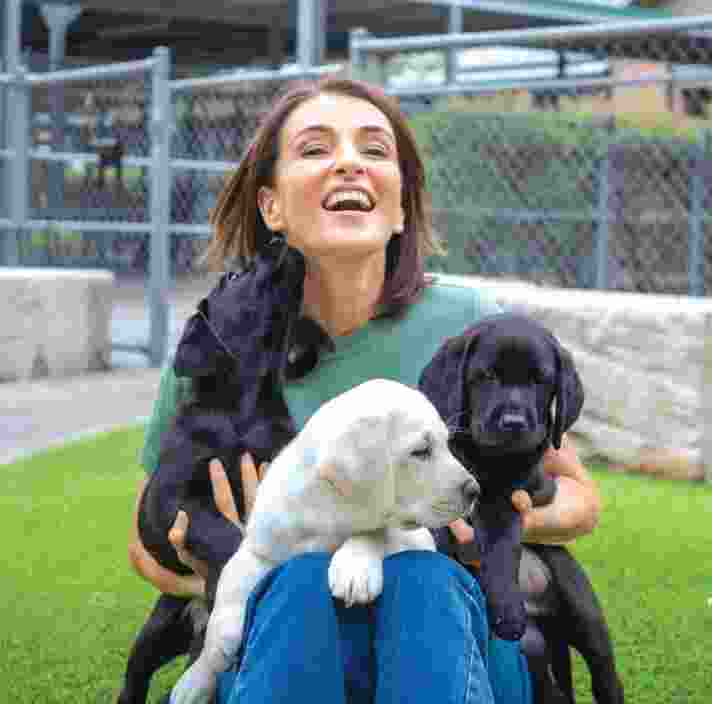 Dr Katrina Warren with three labrador puppies.