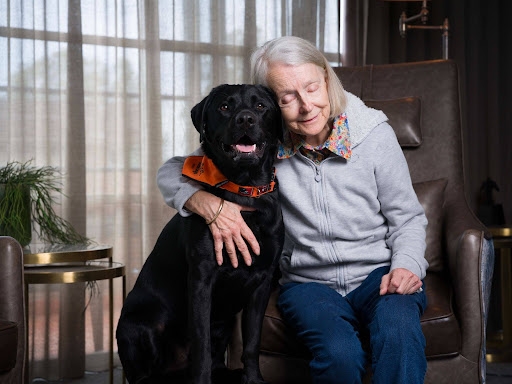 A woman cuddling black Labrador Therapy Dog Taj.